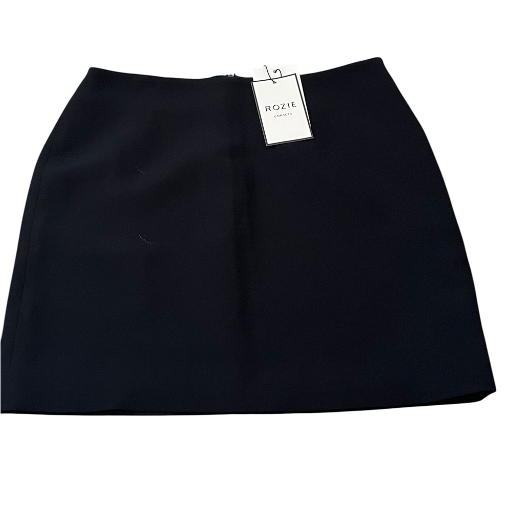 Rozie closet black skirt (S)